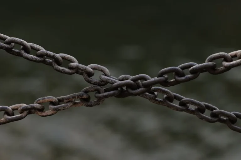 Link Building Services: What Makes a Quality Link?