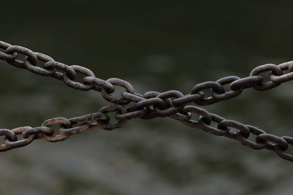 Link Building Services: What Makes a Quality Link?