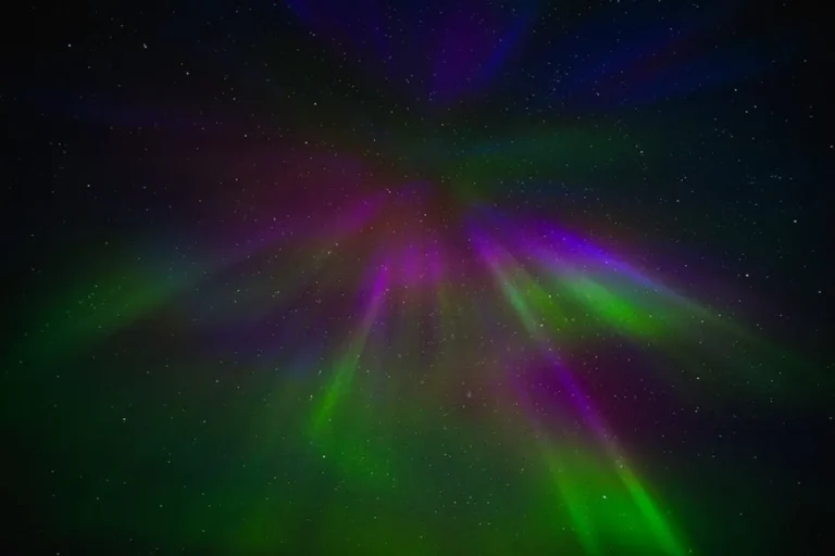 Why Bronwin Aurora belongs in the SEO strategy and consulting conversation